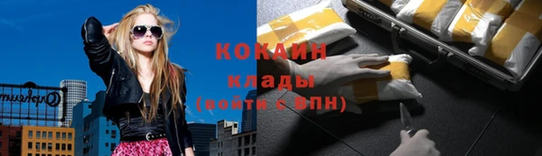 spice Инсар
