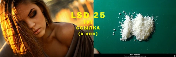 spice Инсар