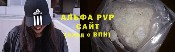 spice Инсар