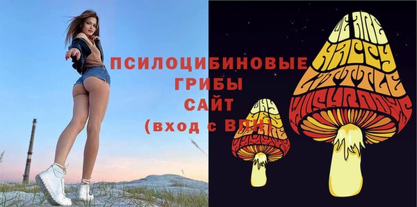 spice Инсар