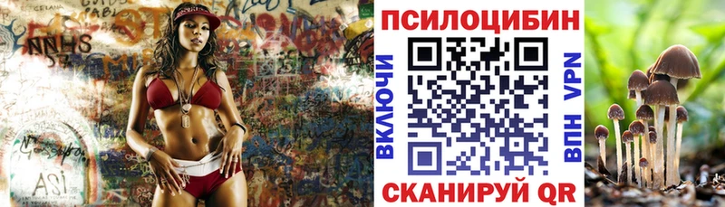 Купить  Николаевск  Псилоцибиновые грибы Psilocybe 