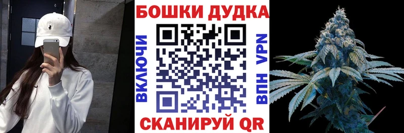 Бошки Шишки THC 21%  Купить закладки  Николаевск 